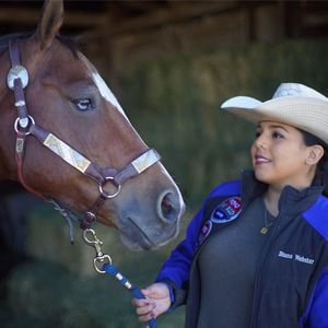 Meet your Posher, Diana